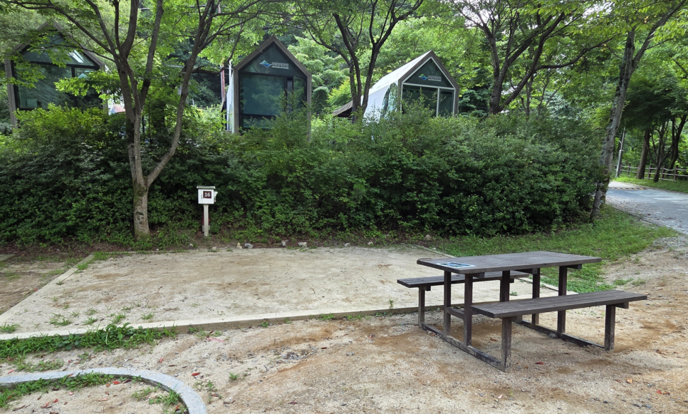 구룡자동차야영장 사진 5