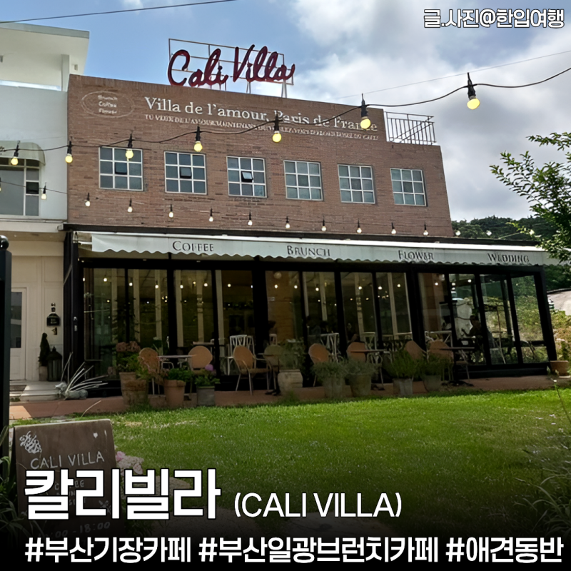 부산 기장 일광 카페 '칼리빌라' 아기랑 가기좋은 애견동반 브런치카페