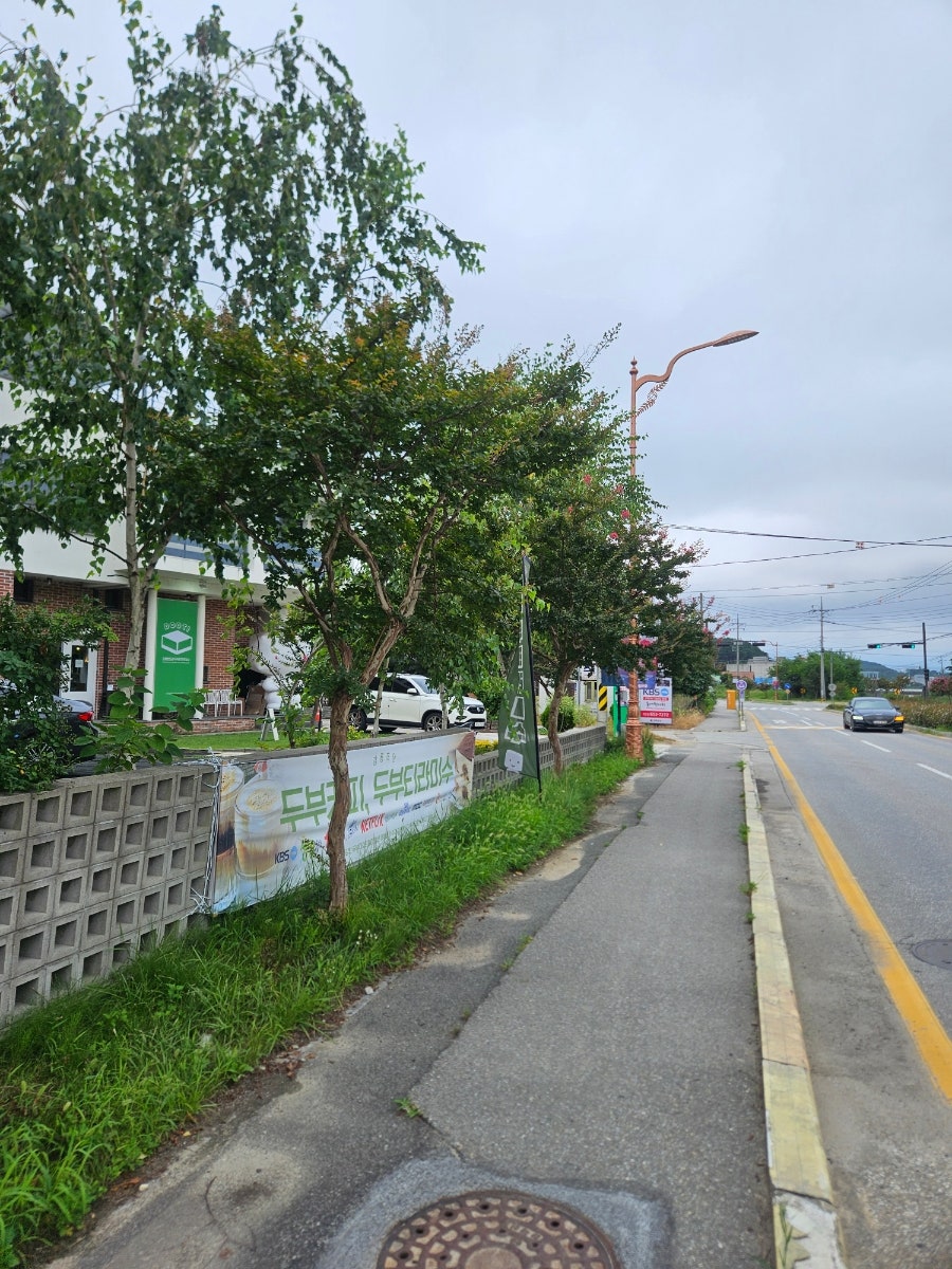 강릉초당두부티라미수 사진 1