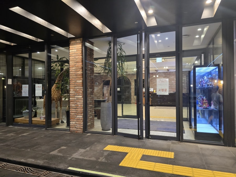 오드리인 제주 사진 5