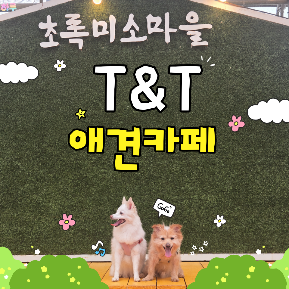 T&T 애견카페 사진 1