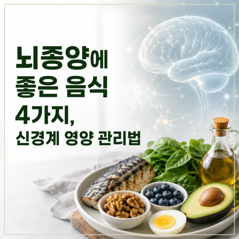 뇌종양에 좋은 음식 4가지, 신경계 영양 관리법