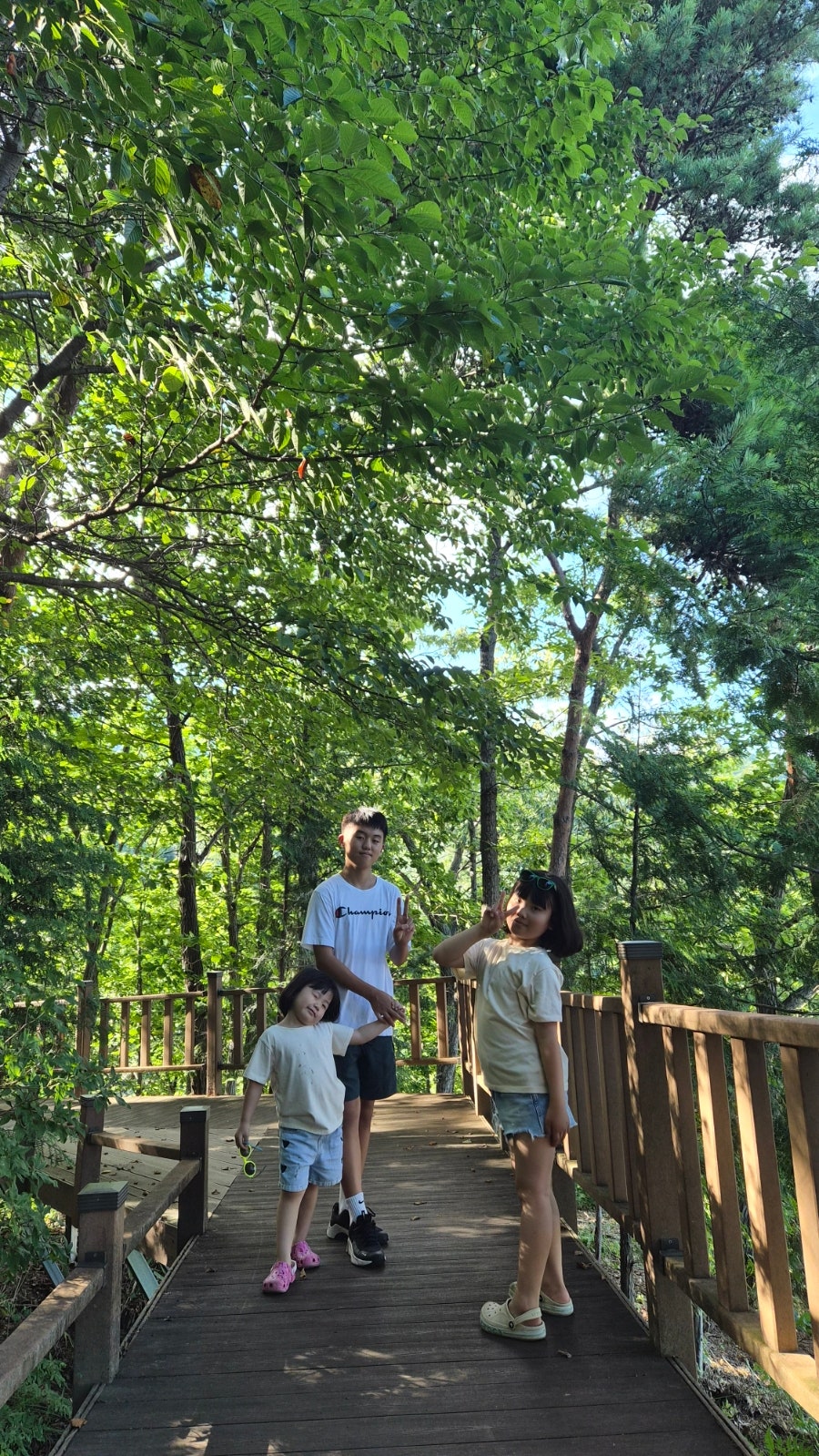 제암산 사진 6