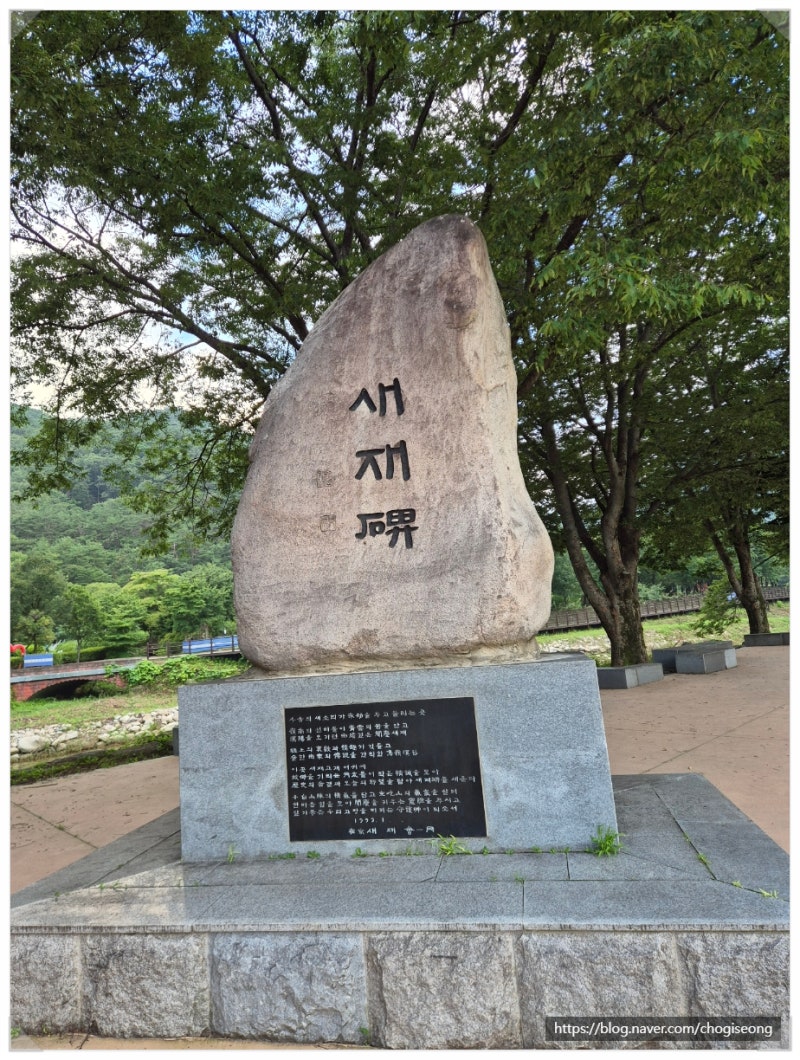 문경새재 과거길 따라 걷고 달리기를 즐기고 수옥 폭포의 시원하고 우렁찬 물소리를 확인하....