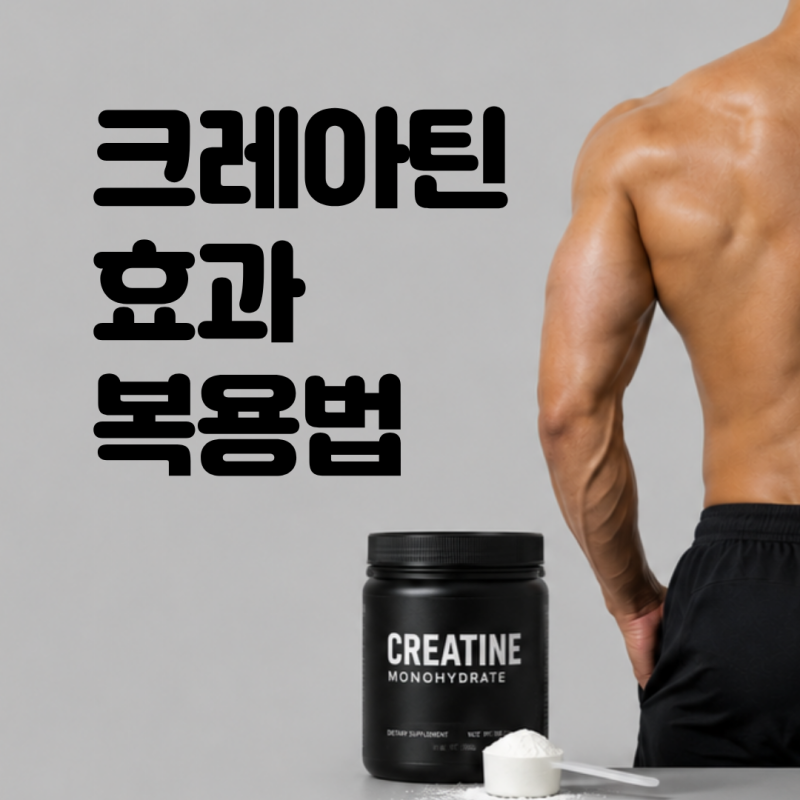 크레아틴 효과 언제부터 나올까? 올바른 복용법부터 부작용 총정리