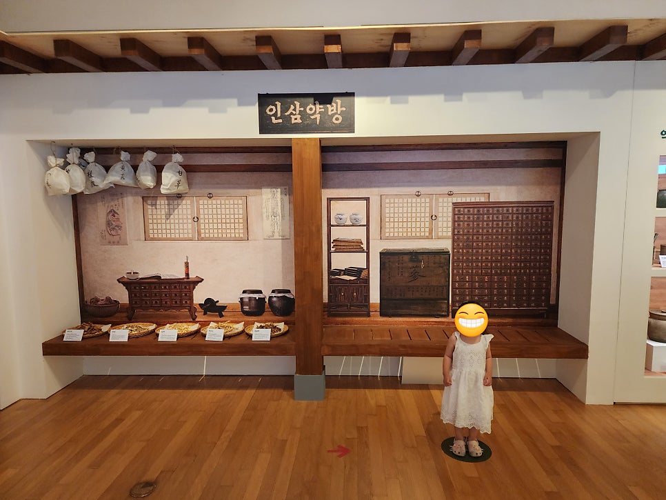 인삼박물관 사진 3