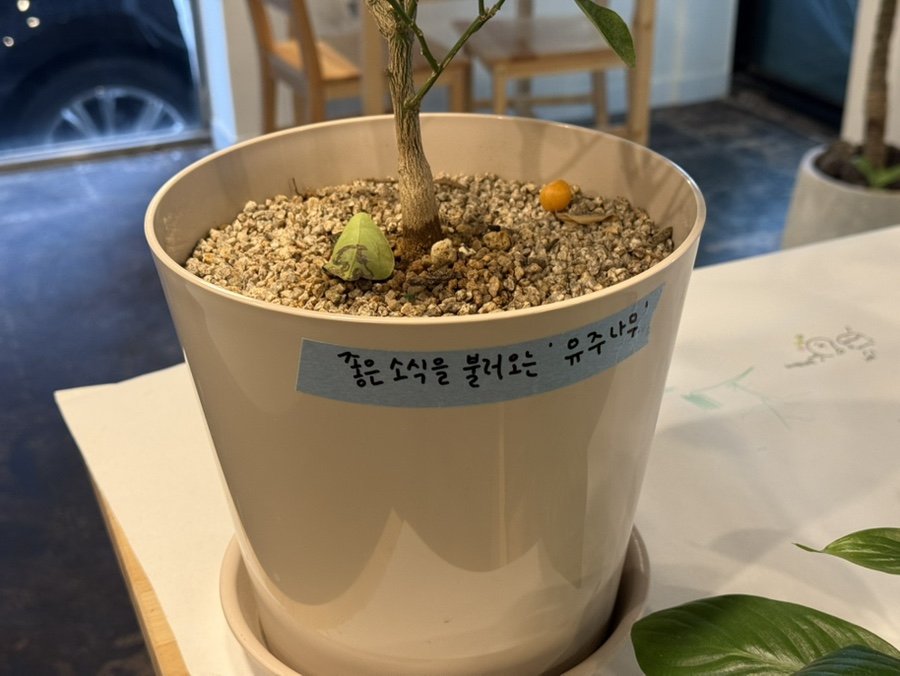 후우 사진 6