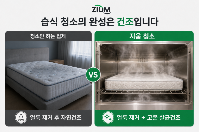 오래된 에이스 매트리스 얼룩 제거 후 살균까지 하는 지움 선택하는 이유