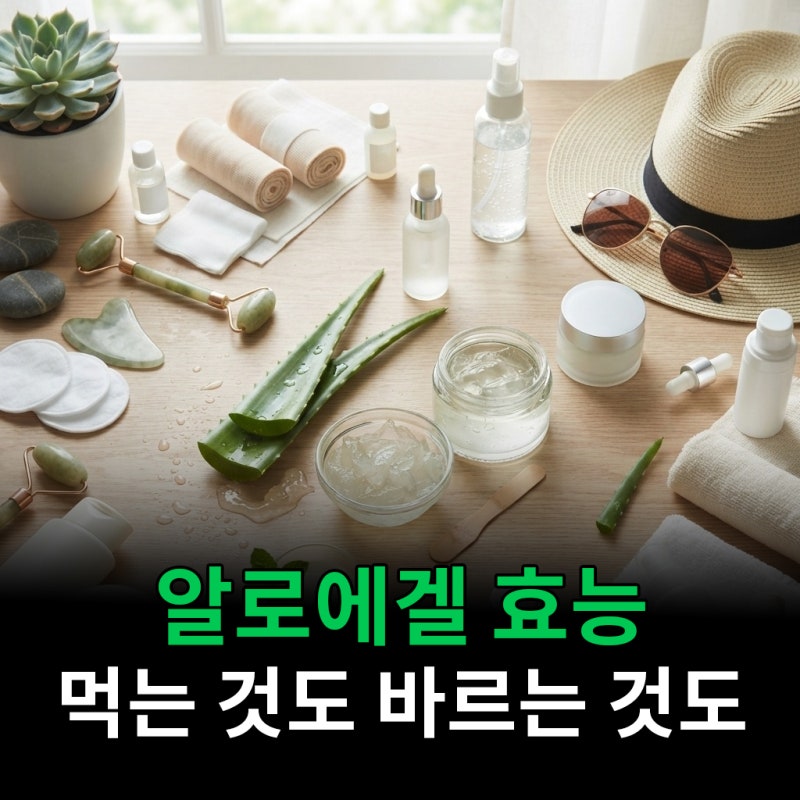 알로에겔 효능 먹는 것도 바르는 것도 되는 이유