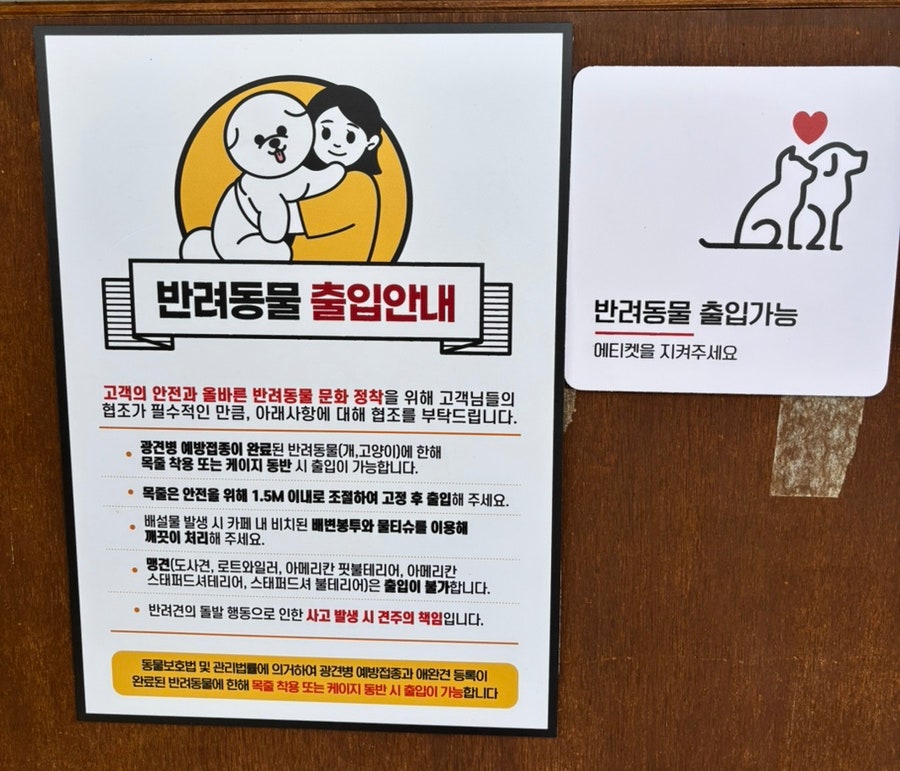 카페용담 사진 4