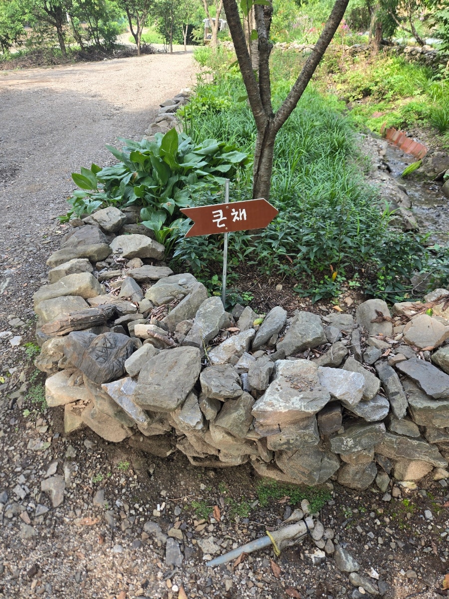 산골초가펜션 사진 6