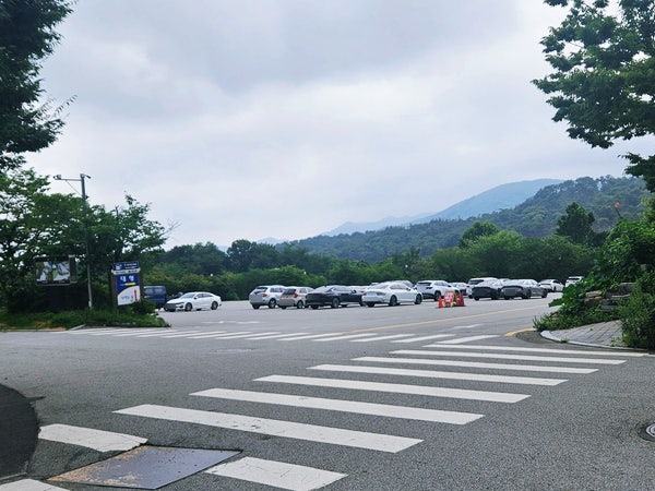 버들식당 사진 3