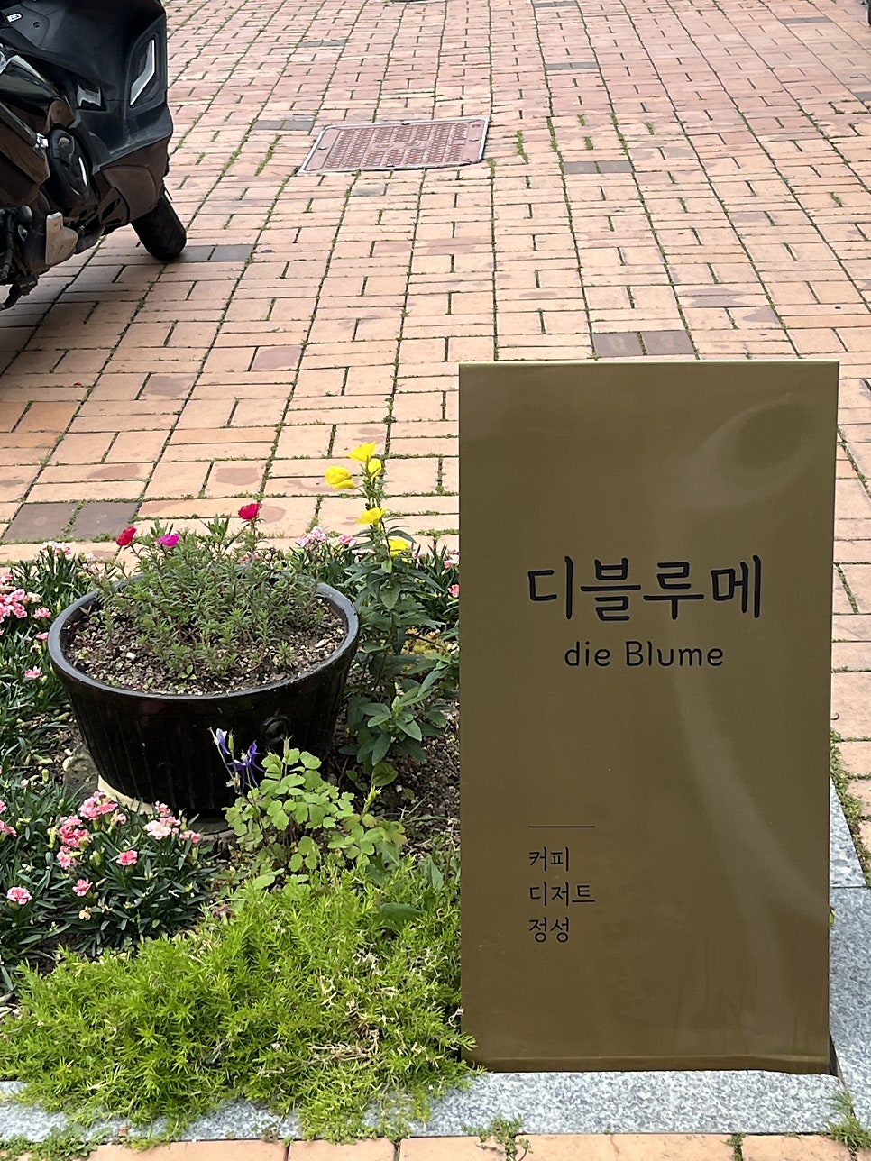 디블루메 사진 3