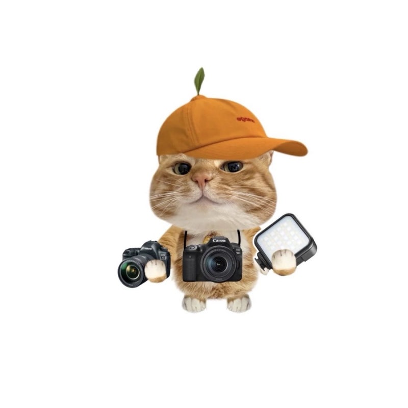 캐논 EOS R50 구매하다^_^