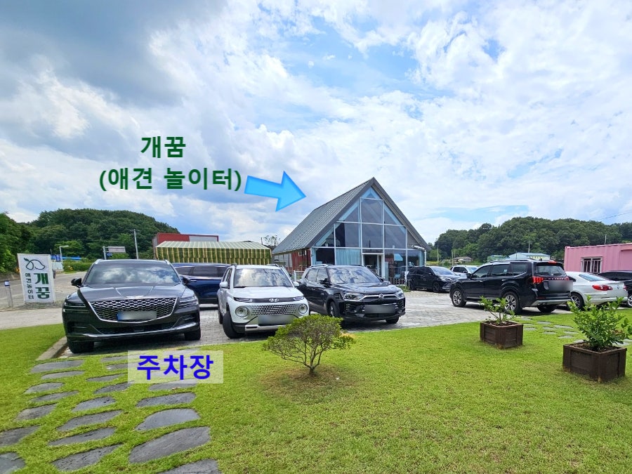 카페청안 사진 4