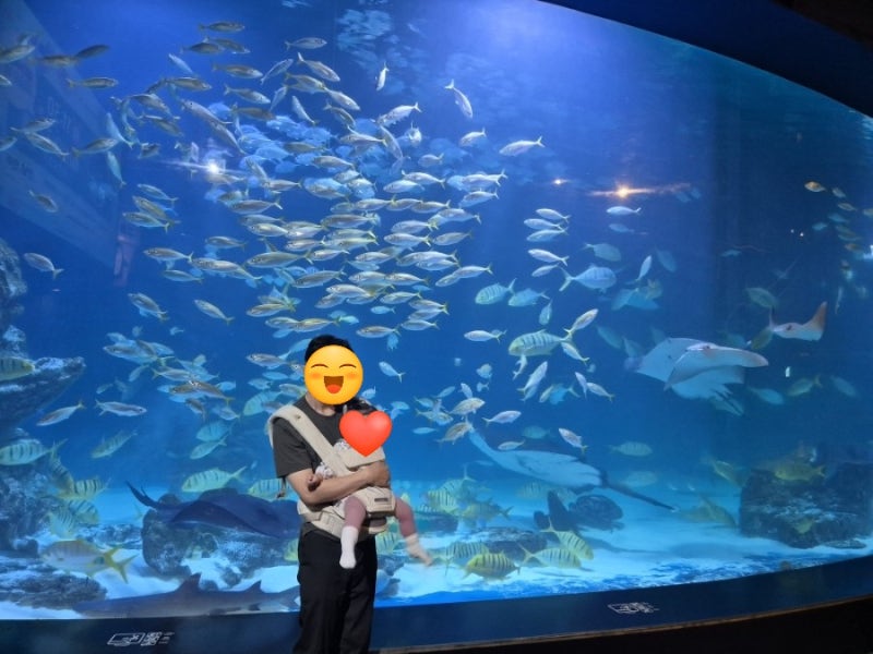 대구신세계백화점 아기랑 대구아쿠아리움 후기, 하프회원권 & 연간갱신권 가격