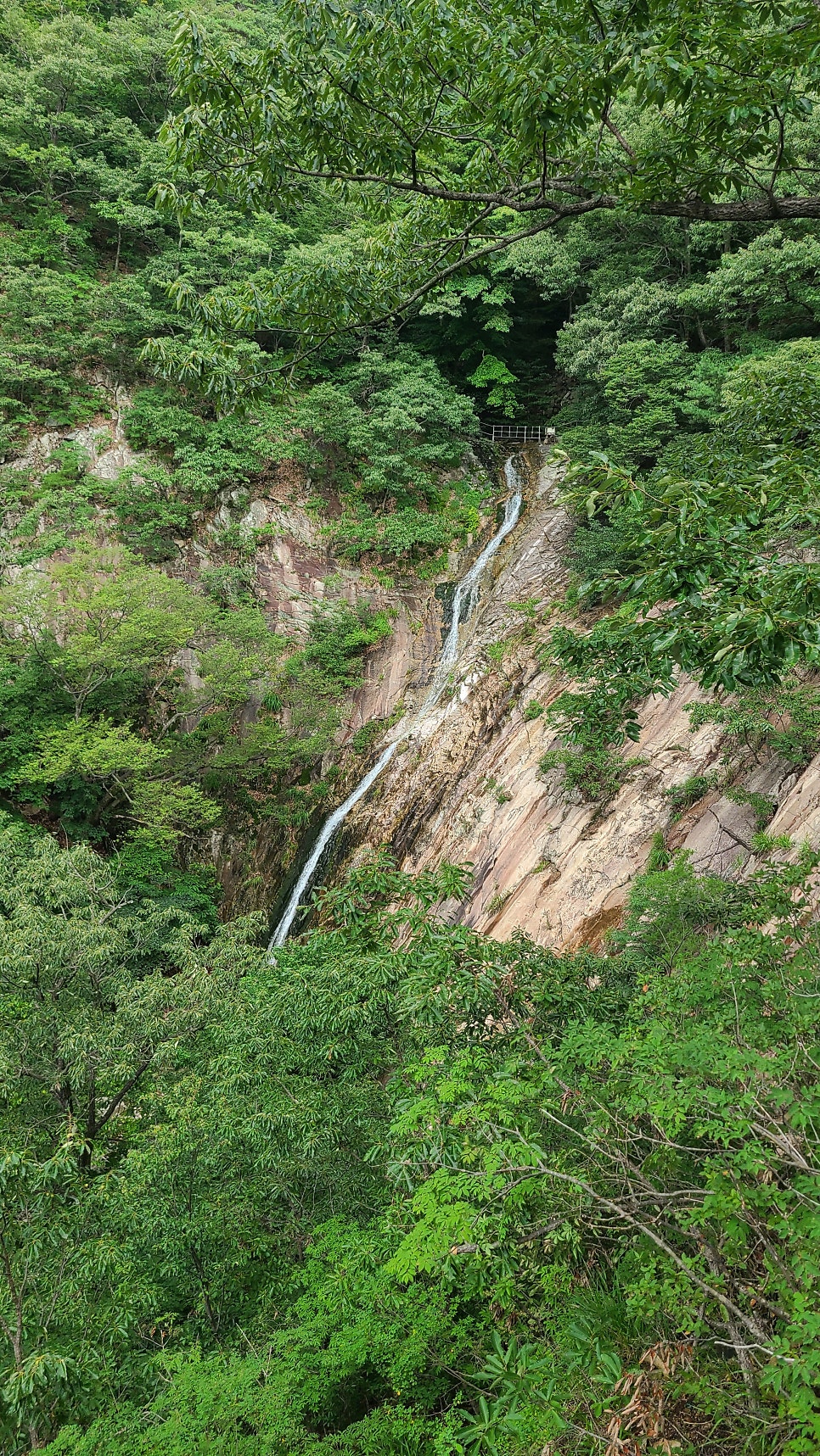 관암산 사진 5