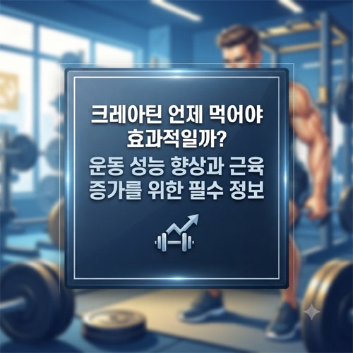 크레아틴 효능 부작용과 올바른 섭취법