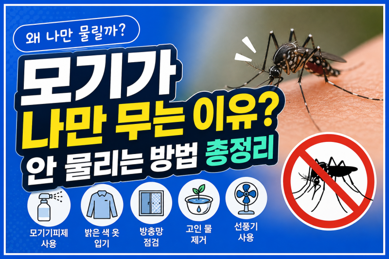 모기가 나만 무는 이유? 안 물리는 방법 총정리
