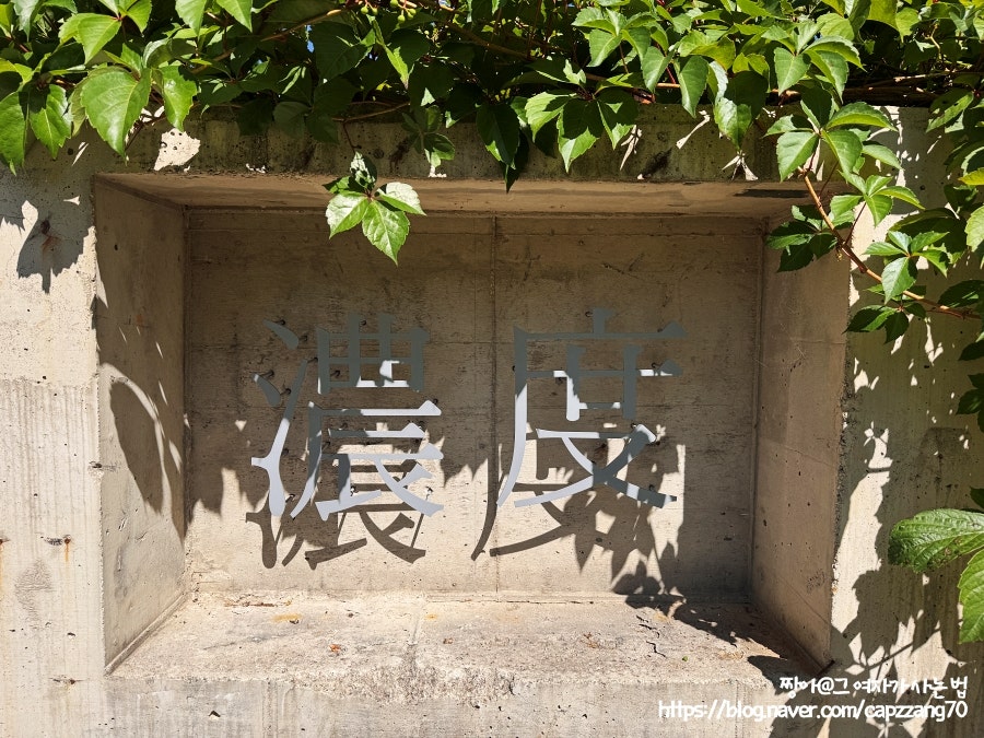 농도 사진 3