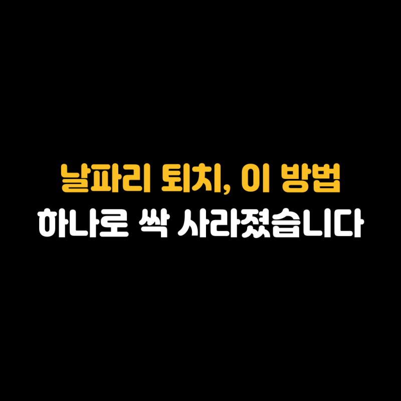 날파리 퇴치, 이 방법 하나로 싹 사라졌습니다