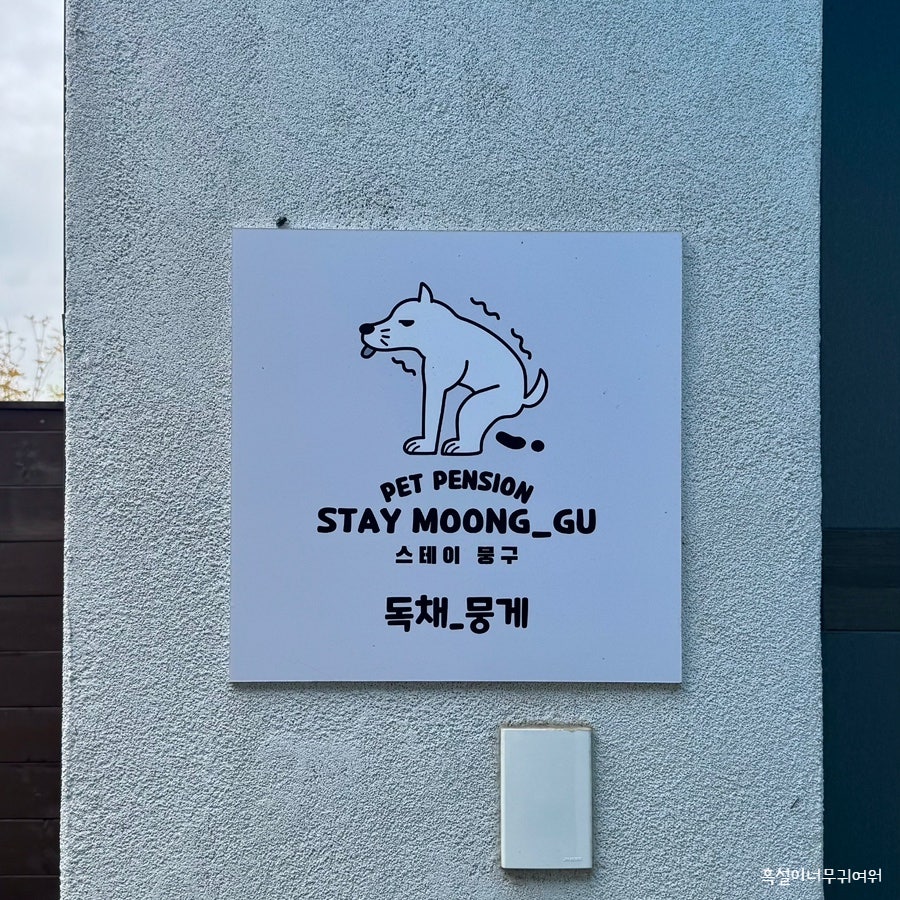 스테이뭉구 사진 5