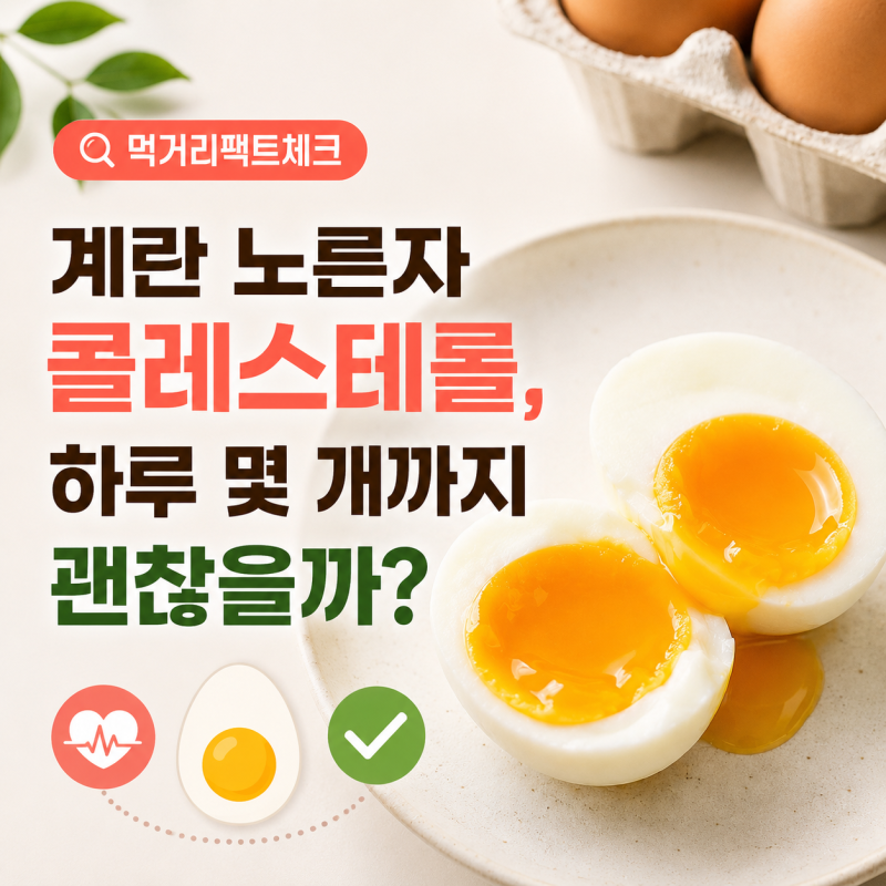 계란 노른자 콜레스테롤, 하루 몇 개까지 괜찮을까?