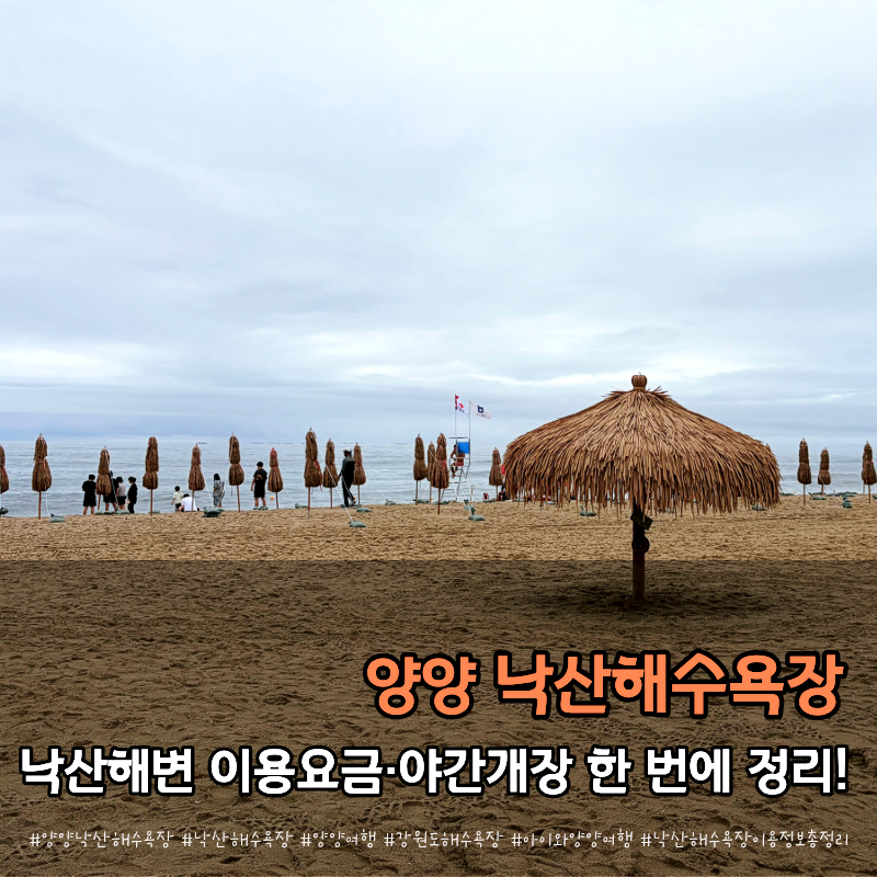 양양 낙산해수욕장 주차·파라솔 비용·샤워장·야간개장 총정리