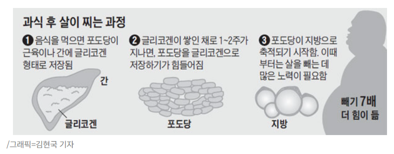당화혈색소 50대 남성 영양제 비교 수치 해석 기준 이것만 알면 됩니다