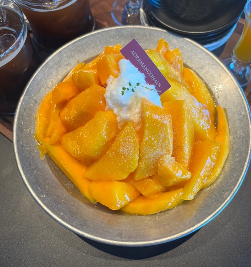 제주 어드래망고하우스 애플망고빙수 맛집 가격 웨이팅 솔직후기