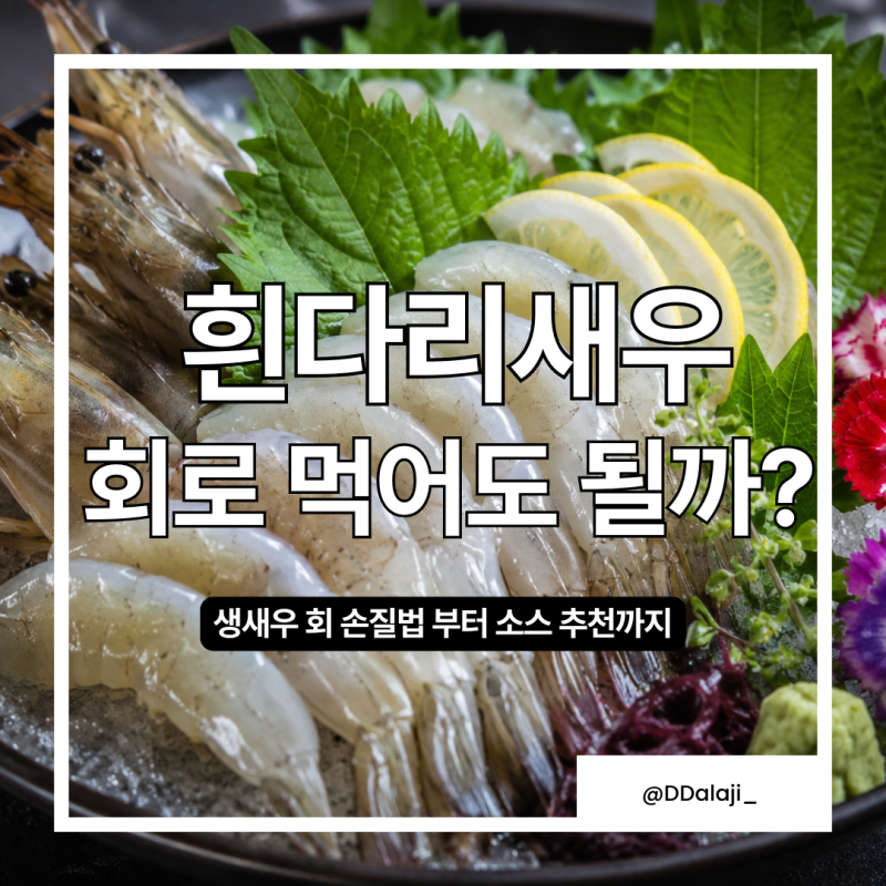 활 흰다리새우 고르는 법, 새우회 손질, 신선도 확인부터 소스 조합까지