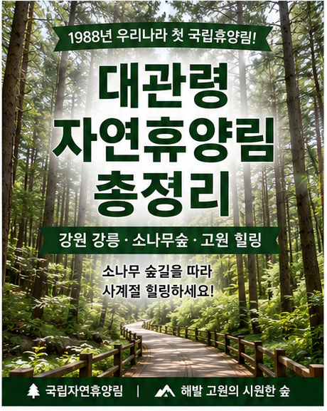 휴양림 29편 / 대관령자연휴양림 예약 방법 · 요금 총정리 (강원 강릉 첫 국립휴양림·소나무....