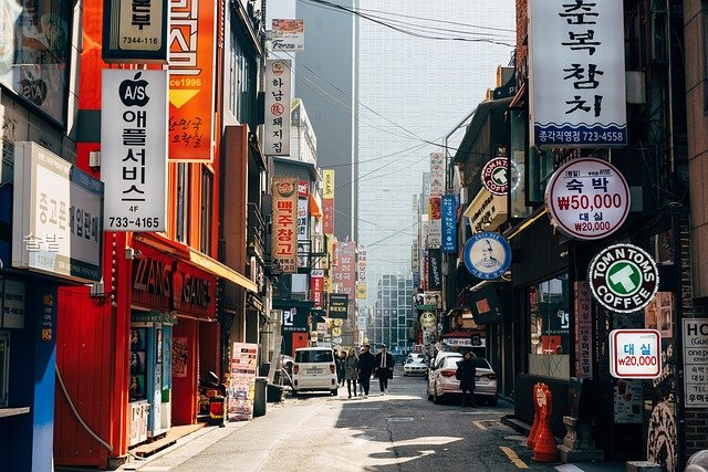 솔밭 사진 2