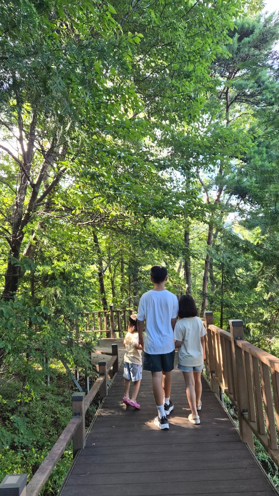 제암산 사진 5