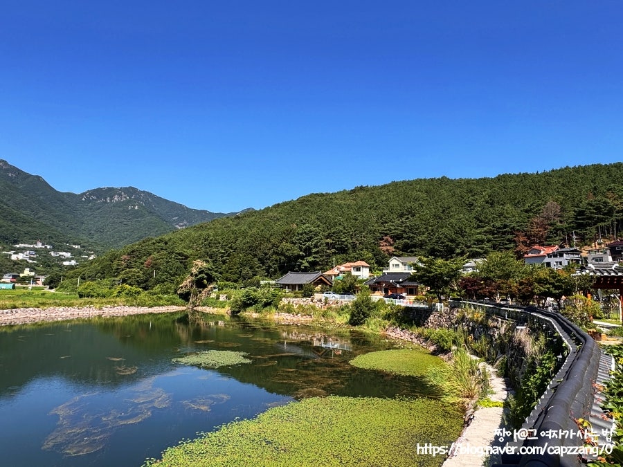 농도 사진 6