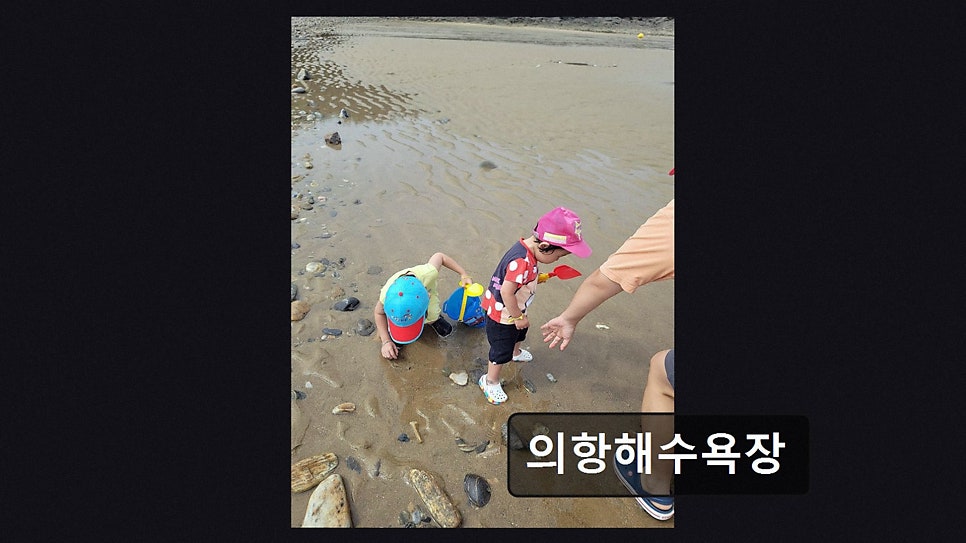 의항해수욕장 사진 4