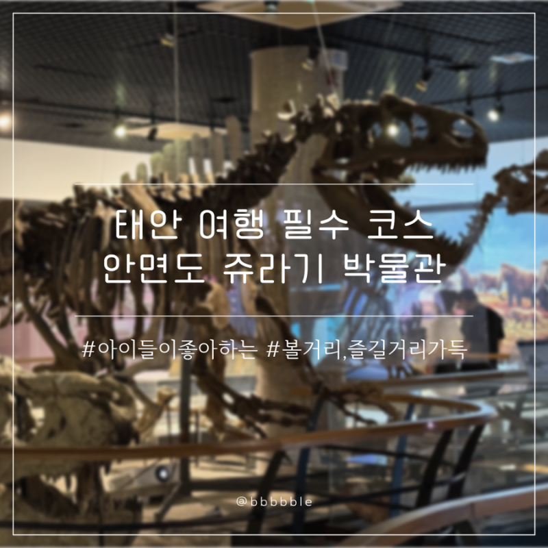 태안 여행시 아이들과 꼭 들러야 할 안면도 쥬라기 박물관 (feat.충남투어패스)