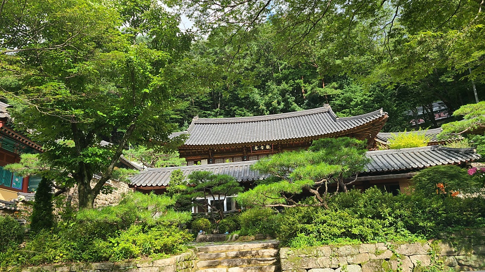 관암산 사진 3