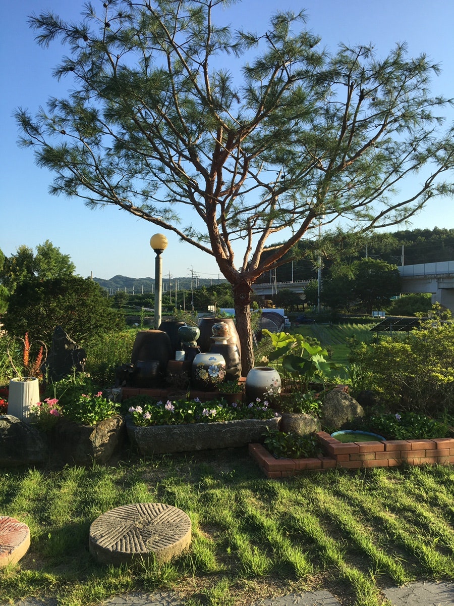 팔구네민박 사진 6