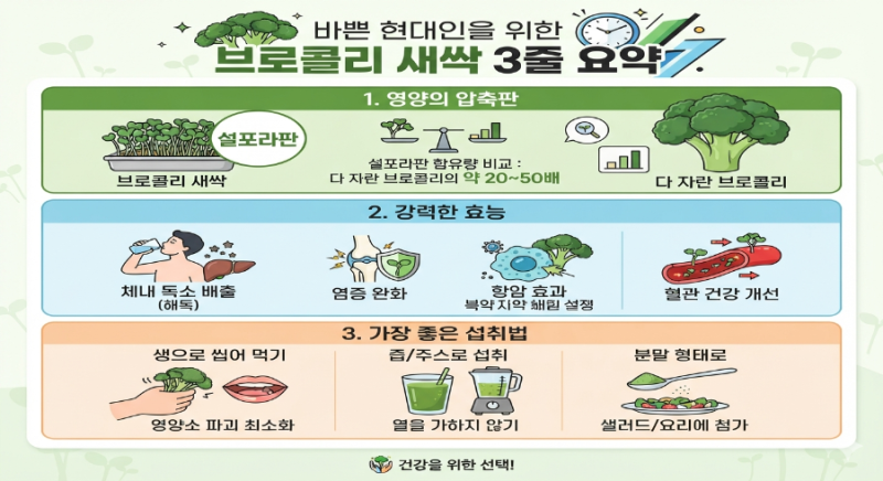 브로콜리 어떻게 먹을까? 새싹으로? 아니면 그냥? 브로콜리새싹에 대한 총정리!