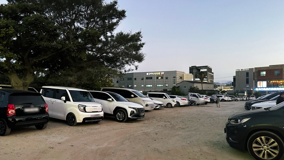 물오름 사진 3