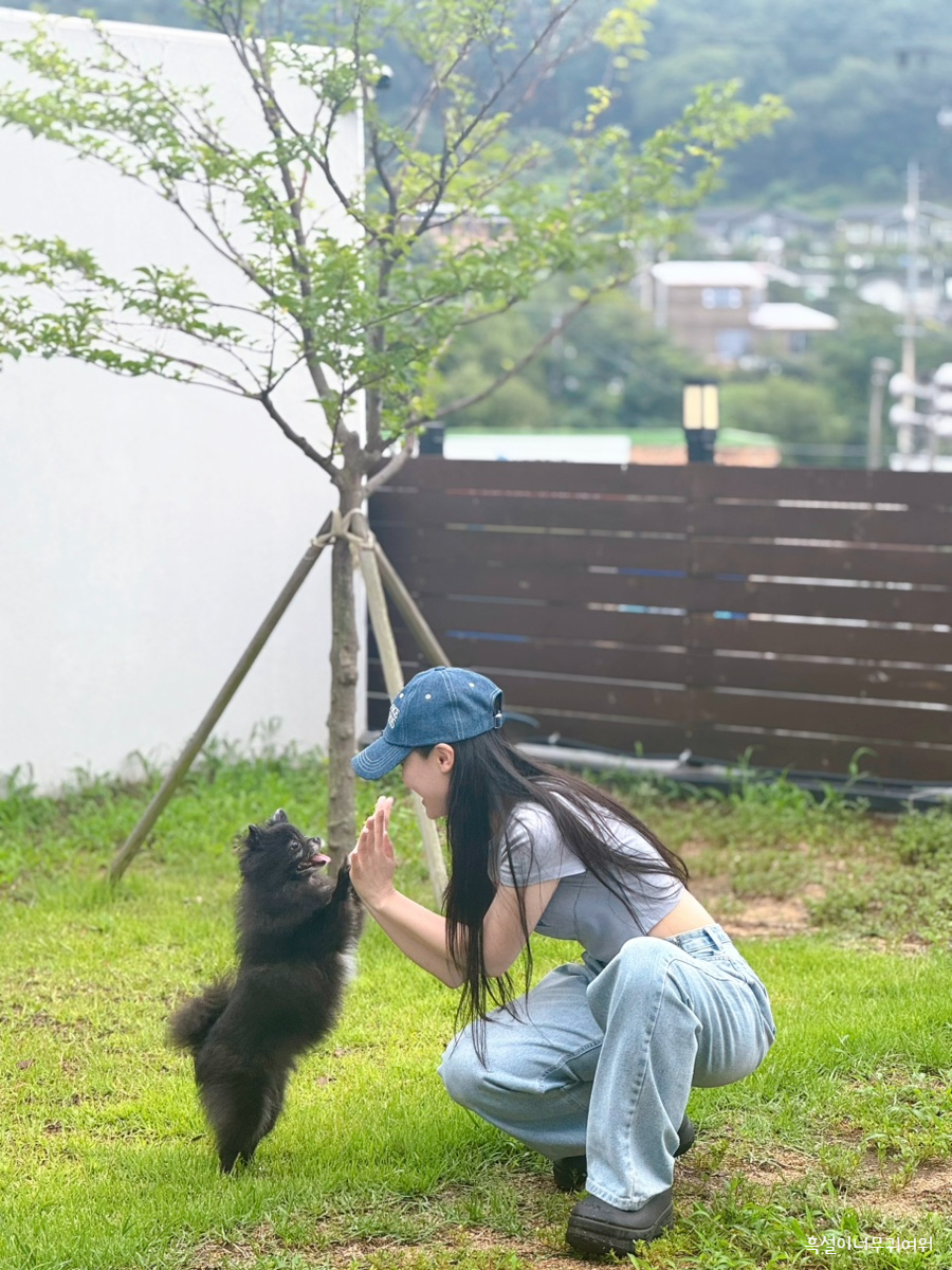스테이뭉구 사진 1
