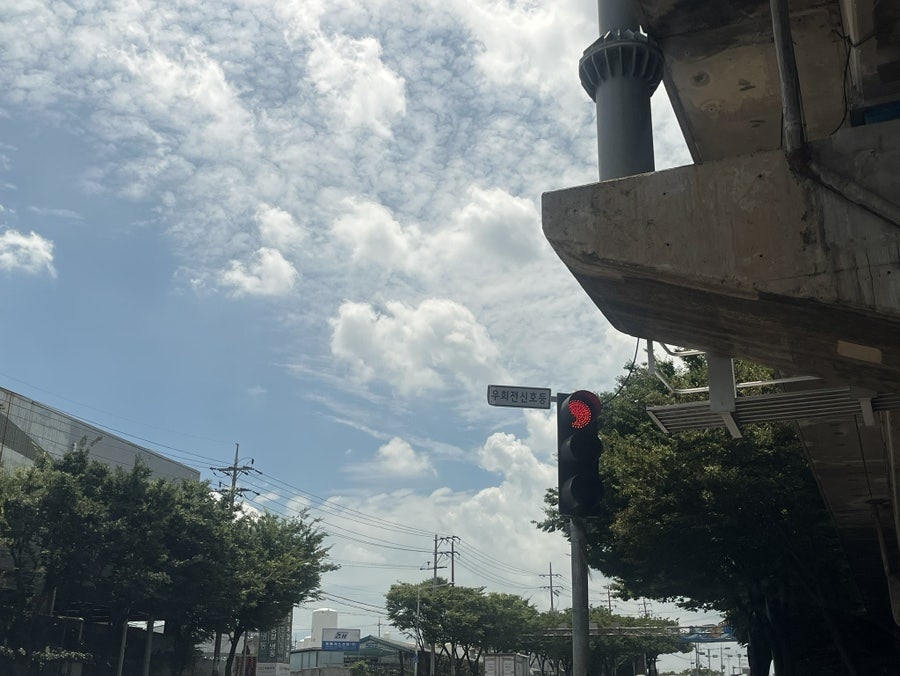 아리아영계백숙왕갈비탕 사진 2