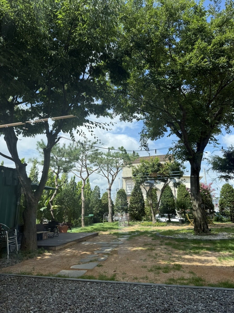오하스 사진 3