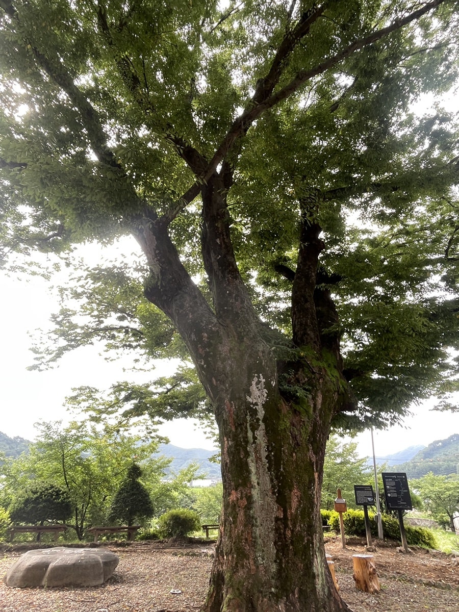 배론골커피집김콩당 사진 4