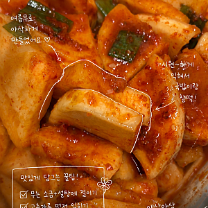 여름무 석박지 레시피, 찹쌀풀 없이 초간단 깍두기 만들기