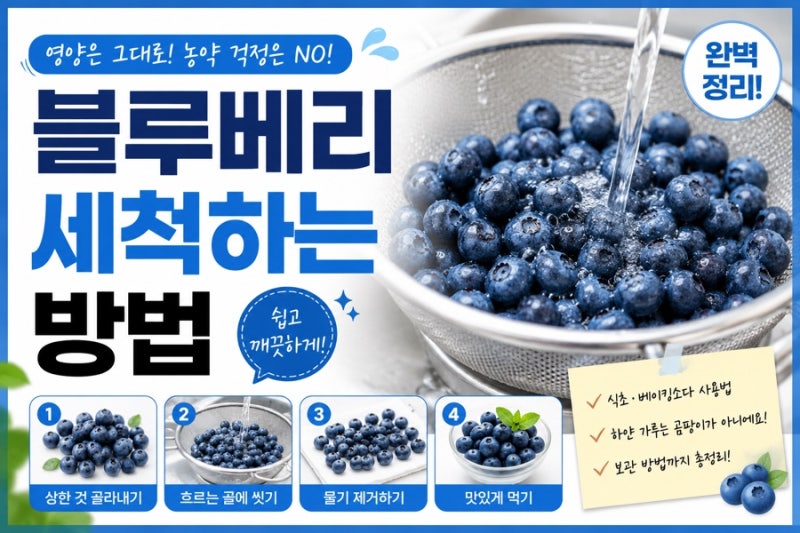 블루베리 세척하는 방법! 영양은 살리고 농약 걱정은 줄이는 올바른 세척법