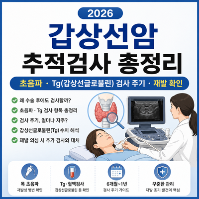 2026 갑상선암 추적검사 총정리｜초음파·Tg(갑상선글로불린) 검사 주기·재발 확인