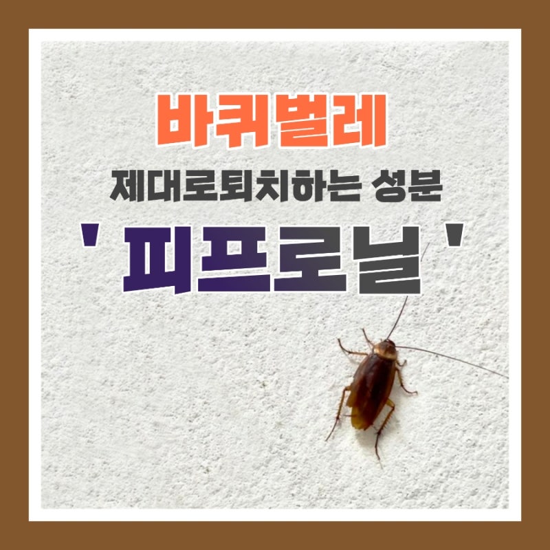 바퀴벌레 제대로 없애는 성분약, 피프로닐