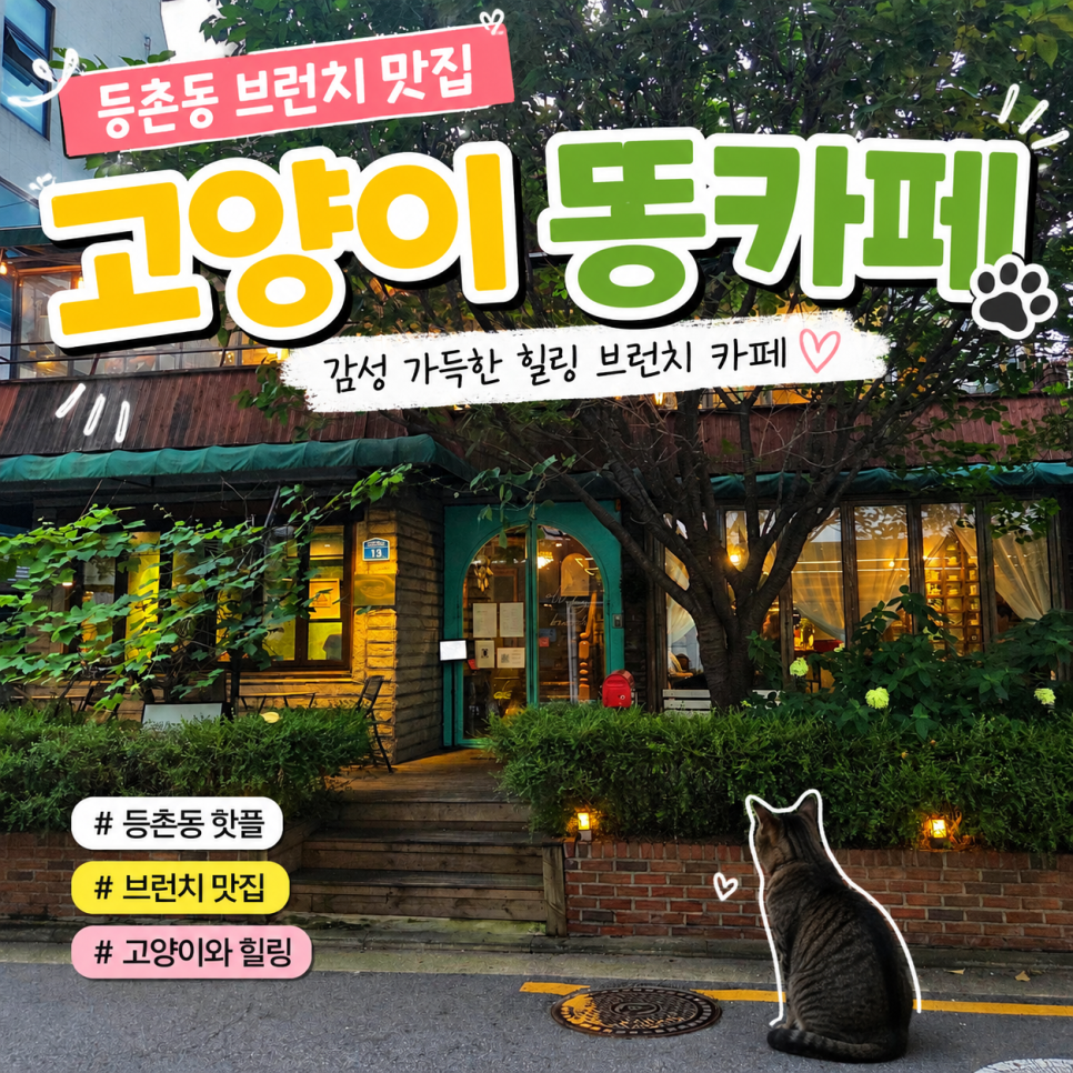 고양이똥 브런치 사진 1
